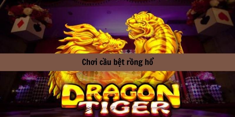 Chơi cầu bệt rồng hổ hiệu quả cao