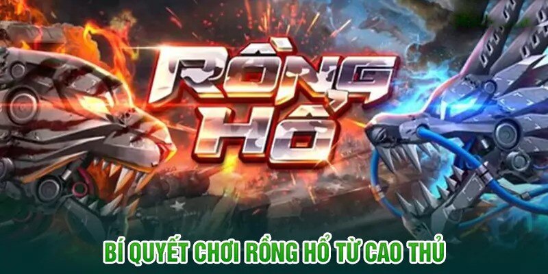 Mẹo hay để làm giàu trong Rồng Hổ là gì