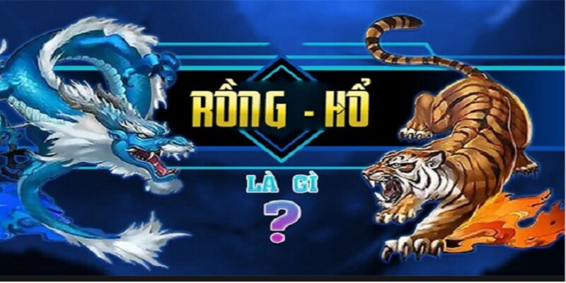 Tìm hiểu thông tin chung về game bài Rồng Hổ là gì
